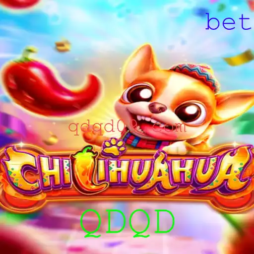 Tudo o que você precisa saber sobre o novo jogo de cartas CHILIHUAHUA