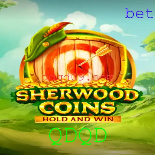 SherwoodCoins: Explorando as Possibilidades da Aventura Virtual